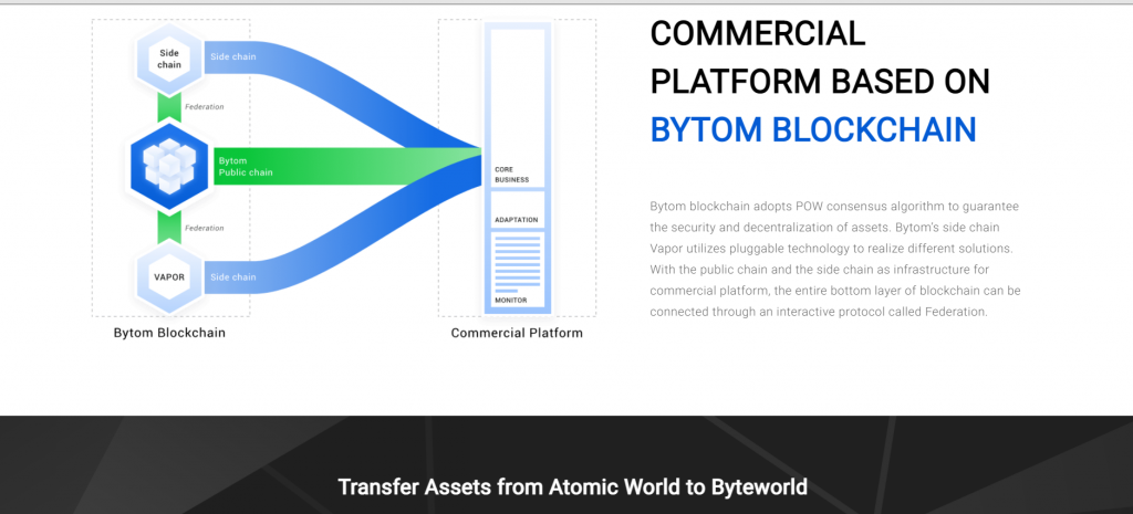 Bytom Review, Bytom Company