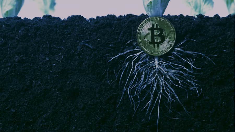 Meaning of Bitcoin Taproot Upgrade