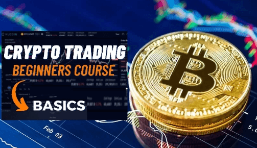 Which Crypto Trading Is Best for Beginners?